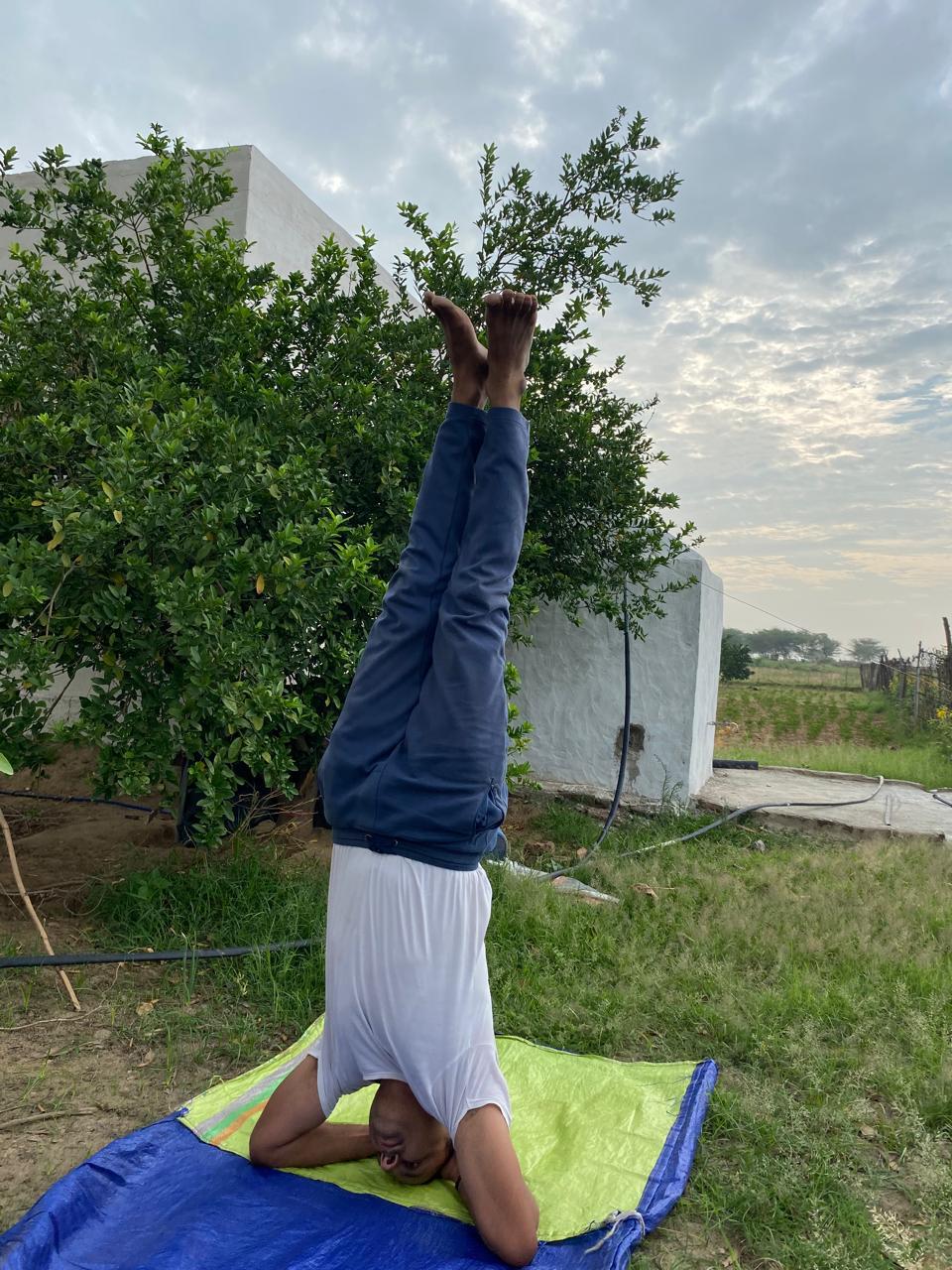 Click to view larger image