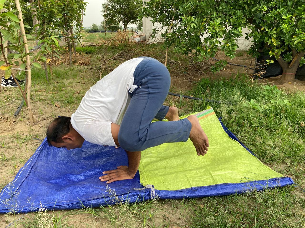 Click to view larger image