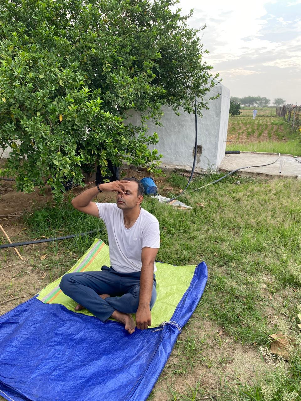 Click to view larger image