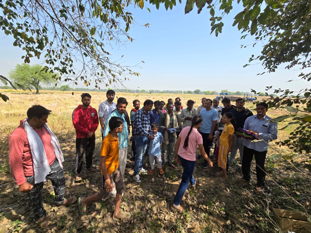 Click to view larger image