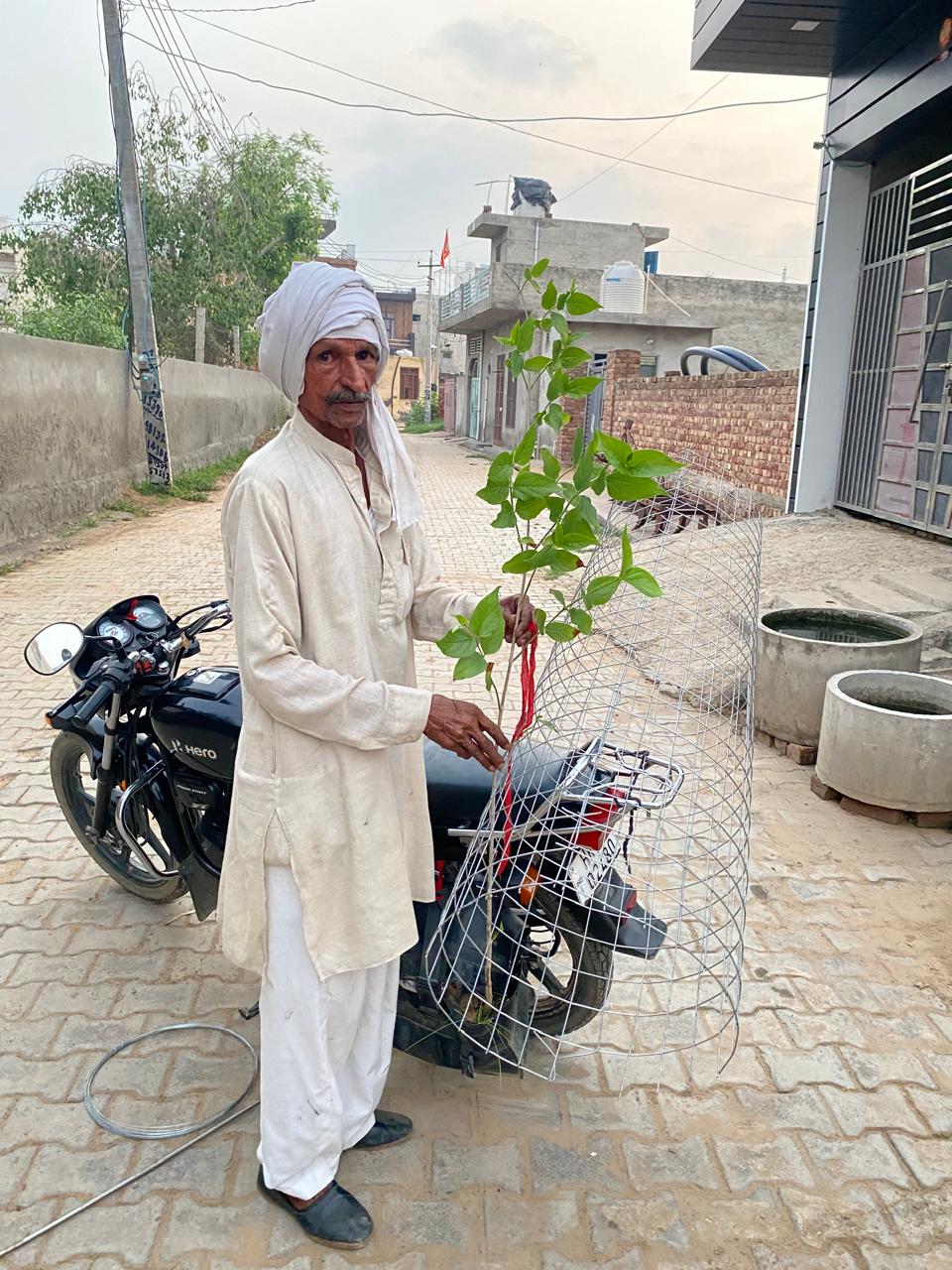 Click to view larger image