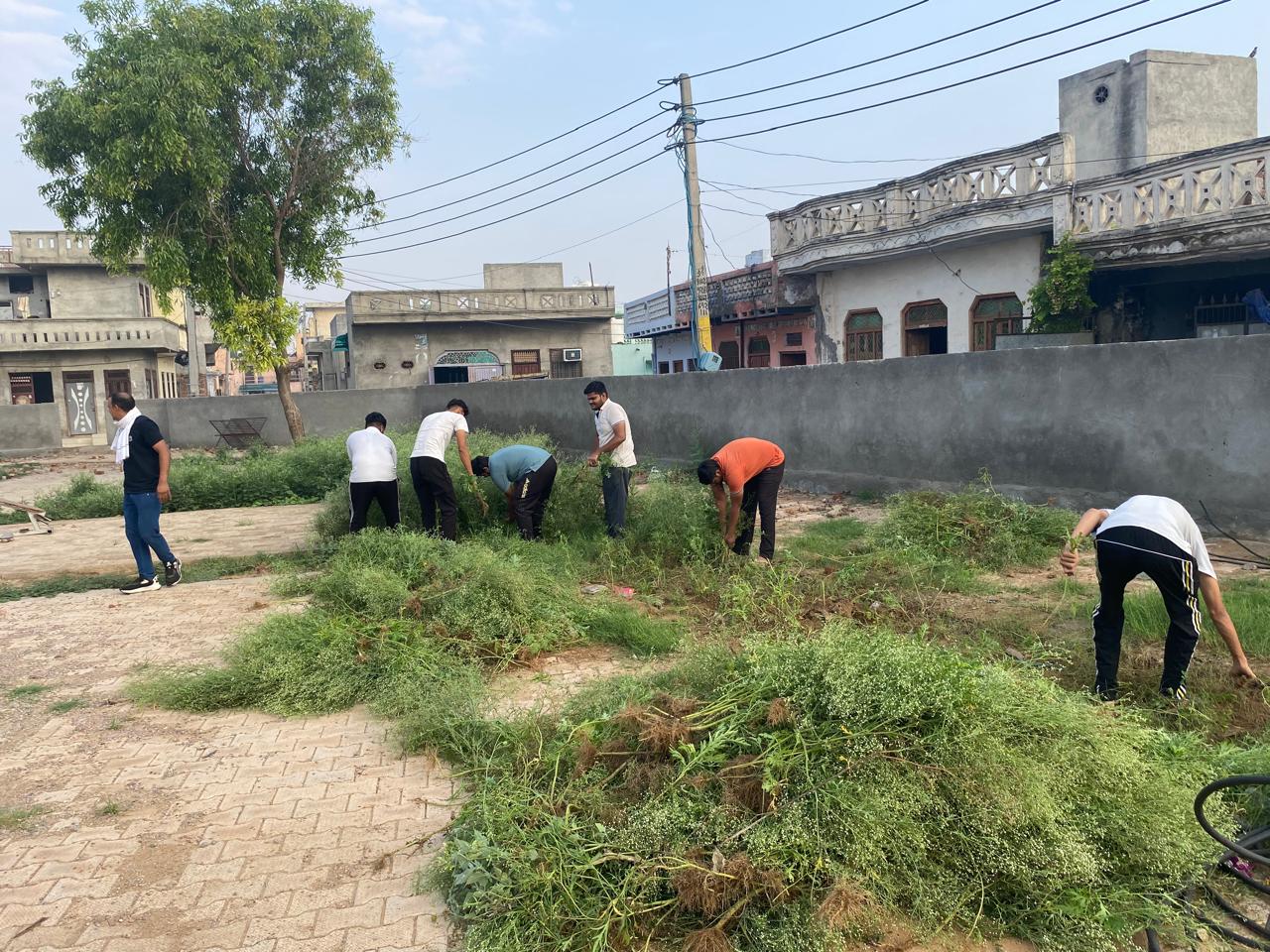 Click to view larger image