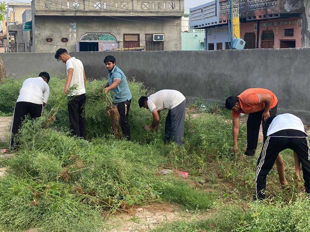 Click to view larger image