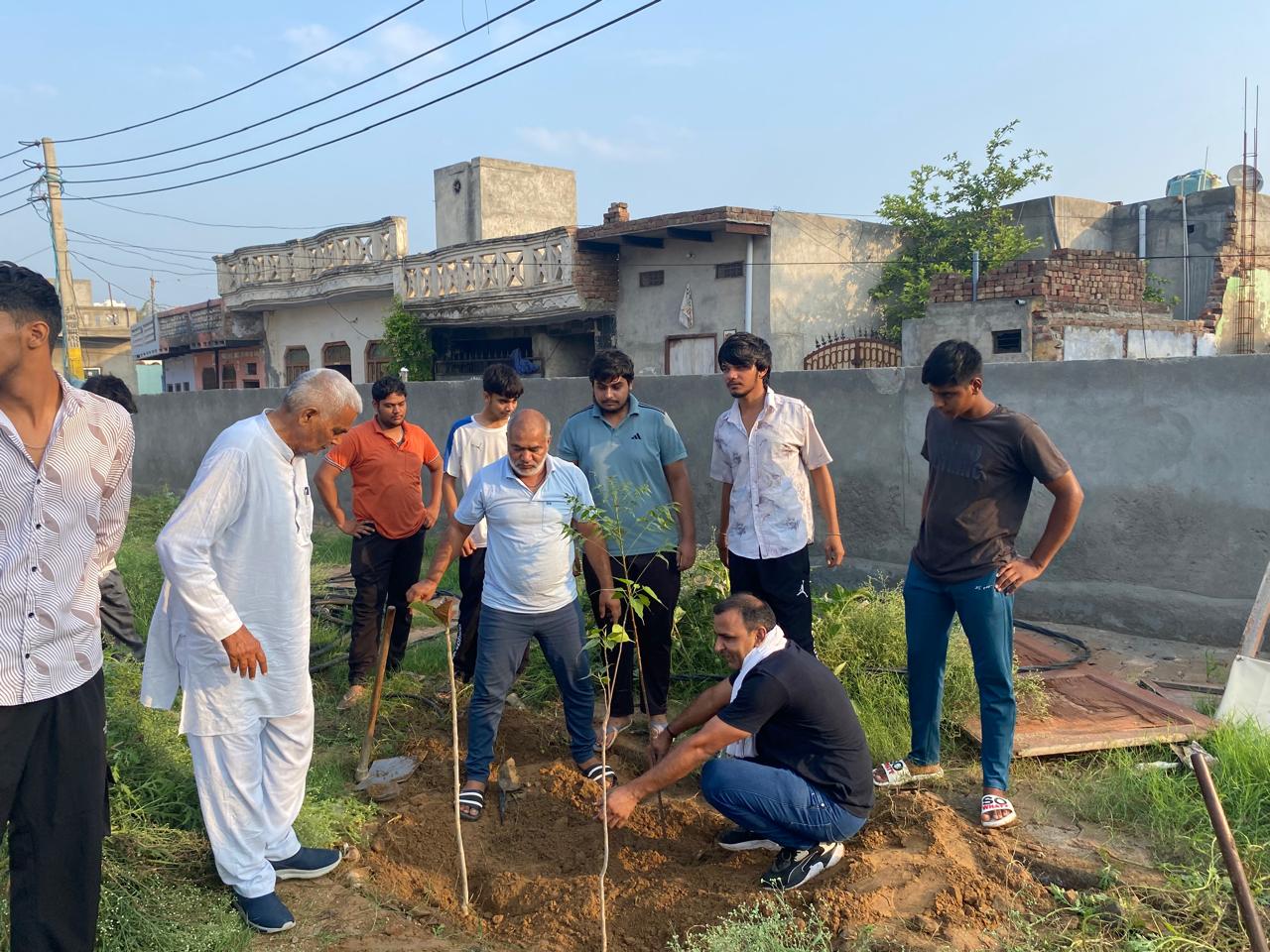 Click to view larger image