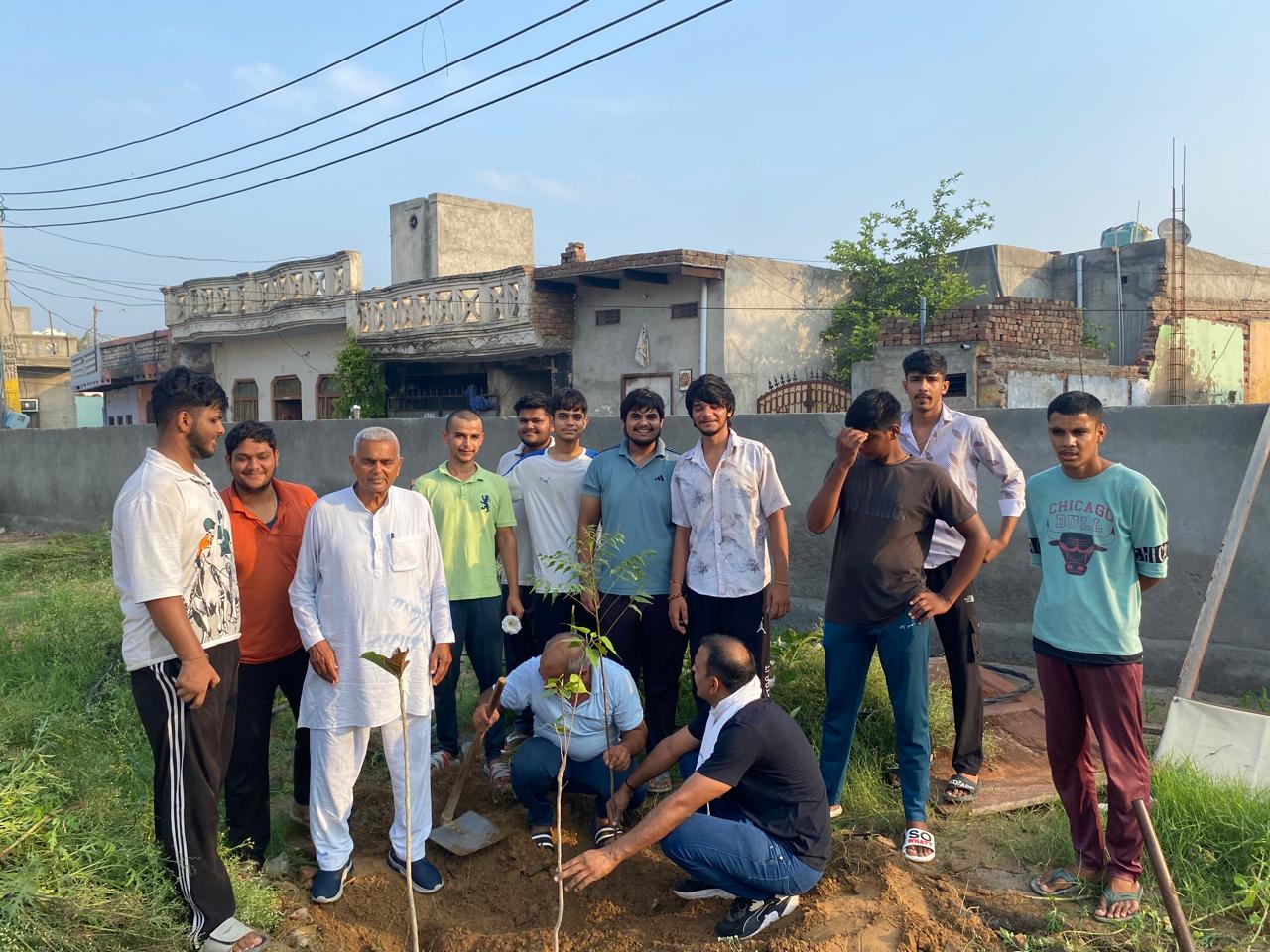 Click to view larger image