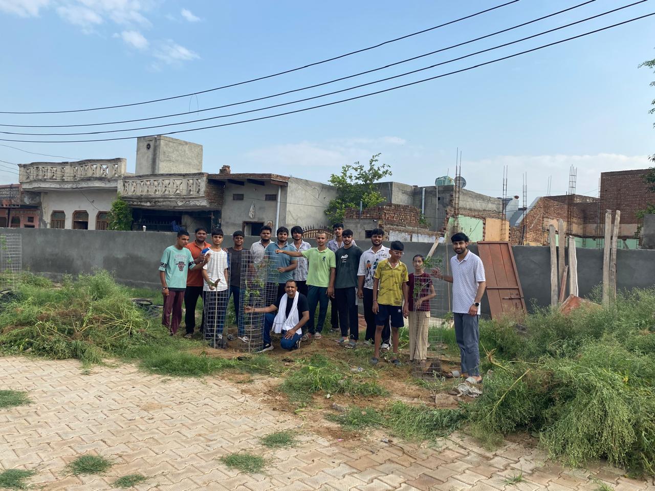 Click to view larger image