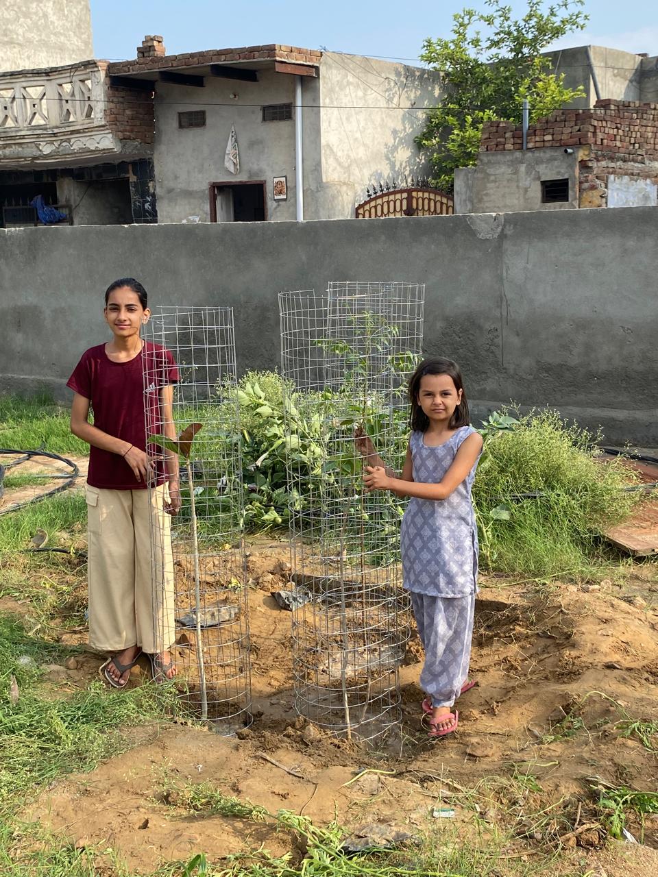 Click to view larger image