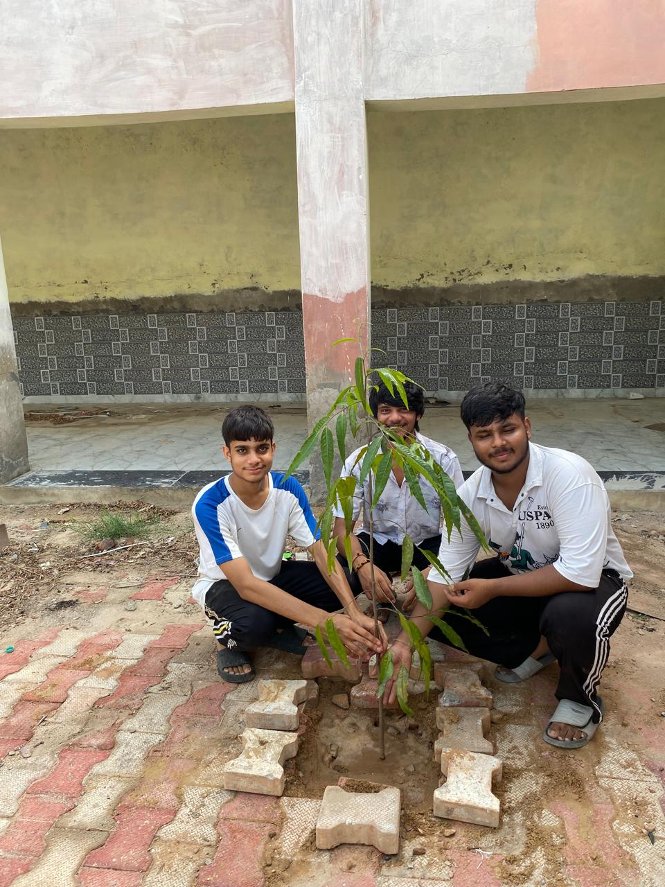 Click to view larger image