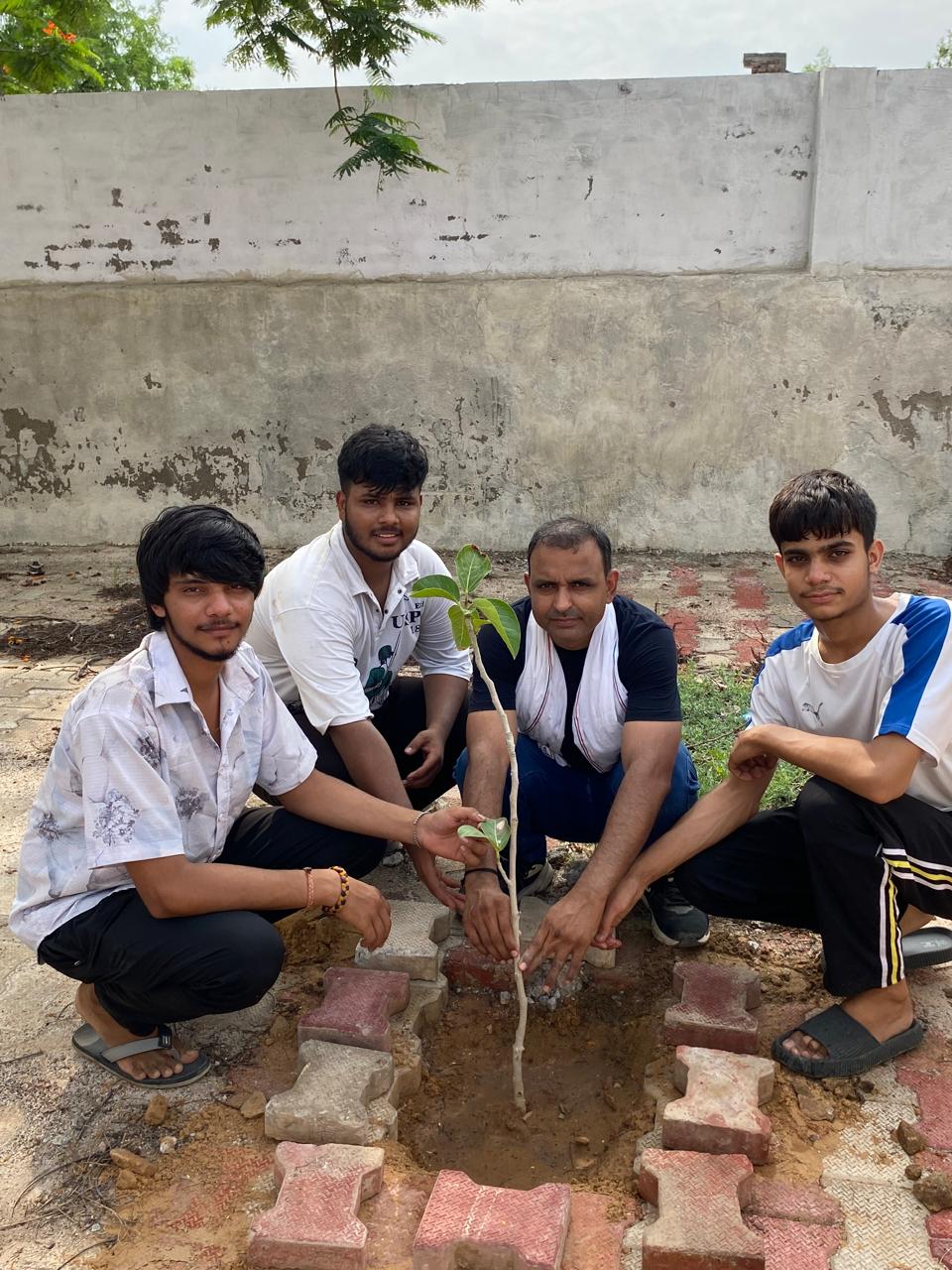 Click to view larger image