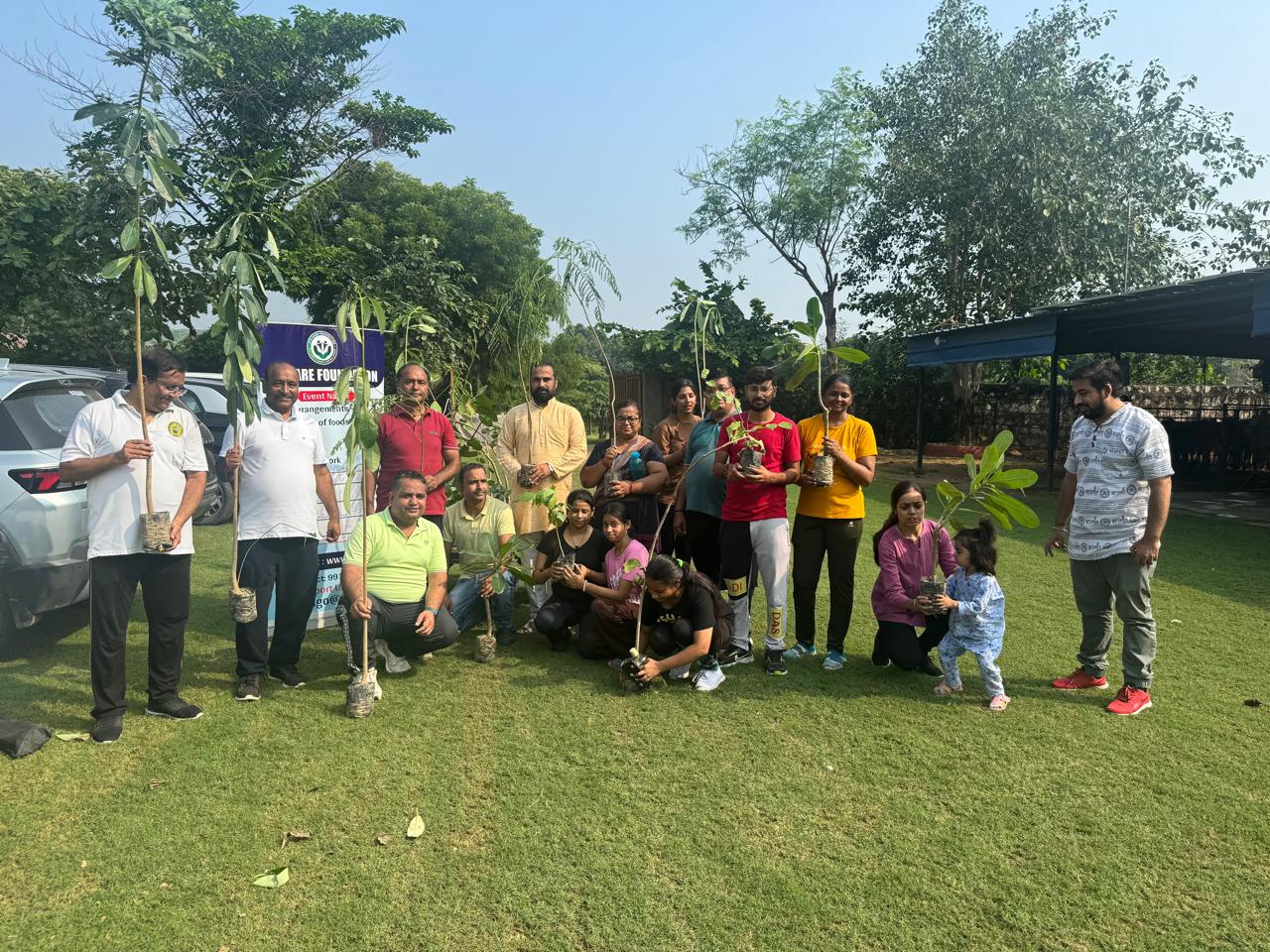 Click to view larger image