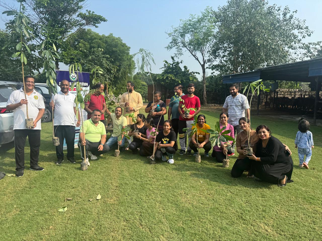 Click to view larger image