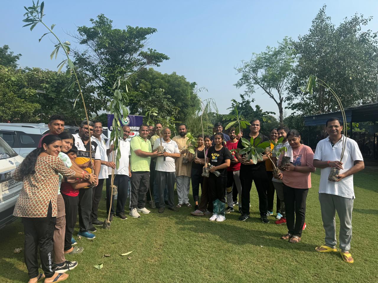 Click to view larger image