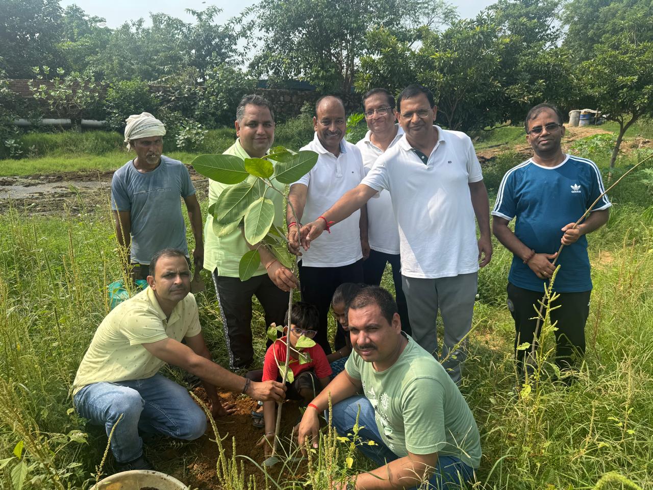 Click to view larger image