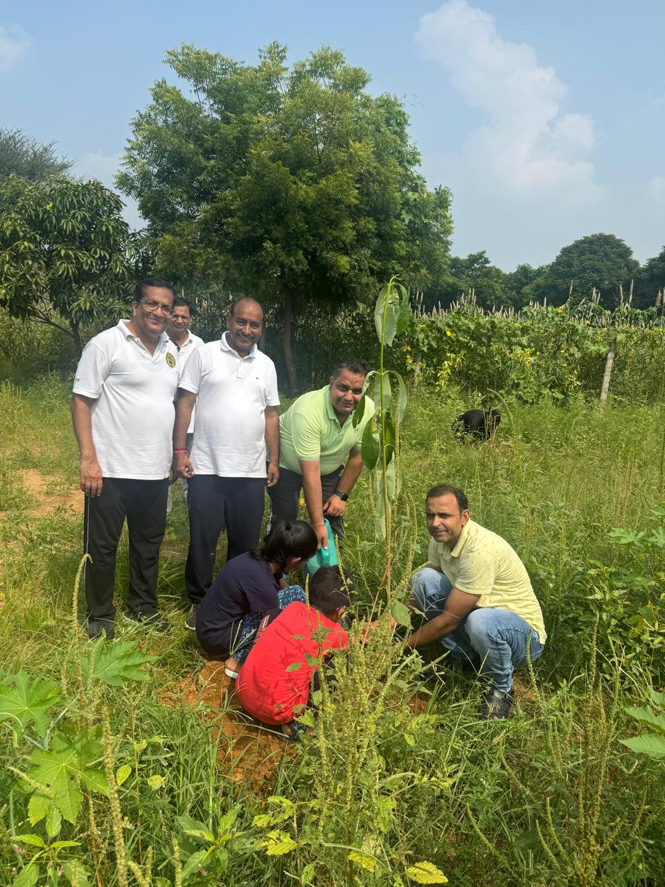 Click to view larger image