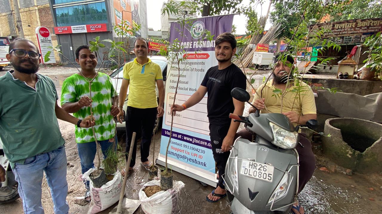 Click to view larger image