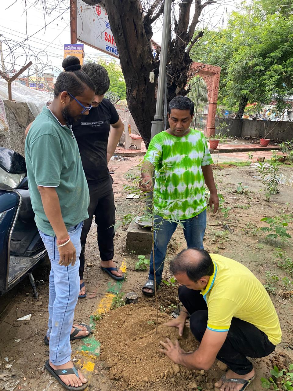 Click to view larger image